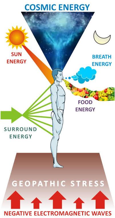 vastu